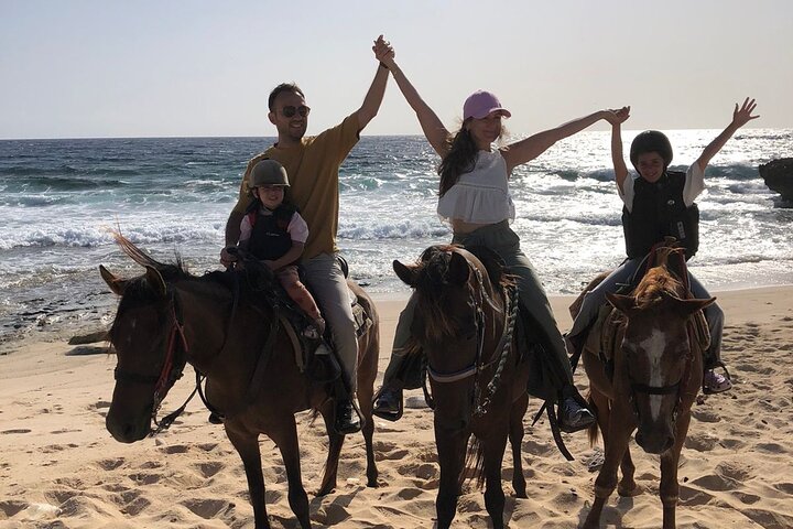 Aruba Ecological & Coastline Horseback Ride with Beach Photo Stop