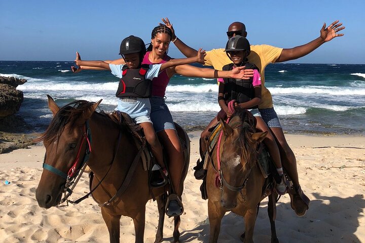 Aruba Ecological & Coastline Horseback Ride with Beach Photo Stop