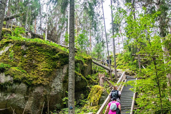 Helsinki: Nuuksio National park hiking with campfire lunch