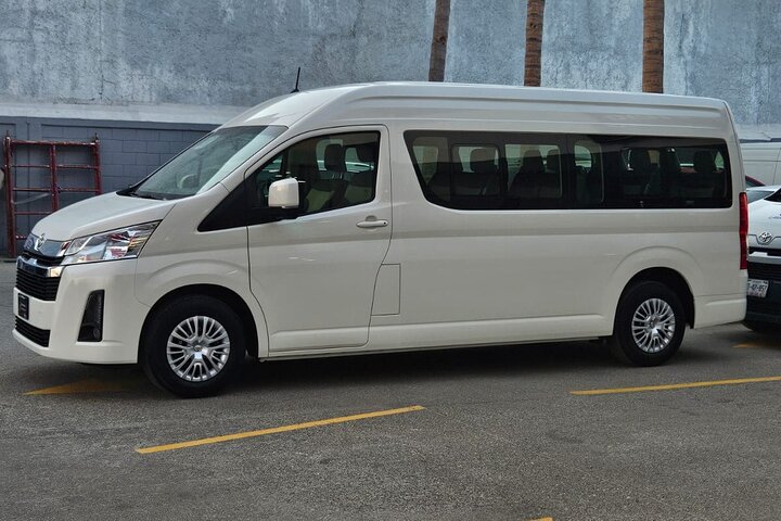 Acapulco Airport Roundtrip Transfers