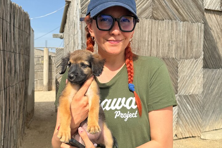 Volunteering with Animals and Communities in Guajira