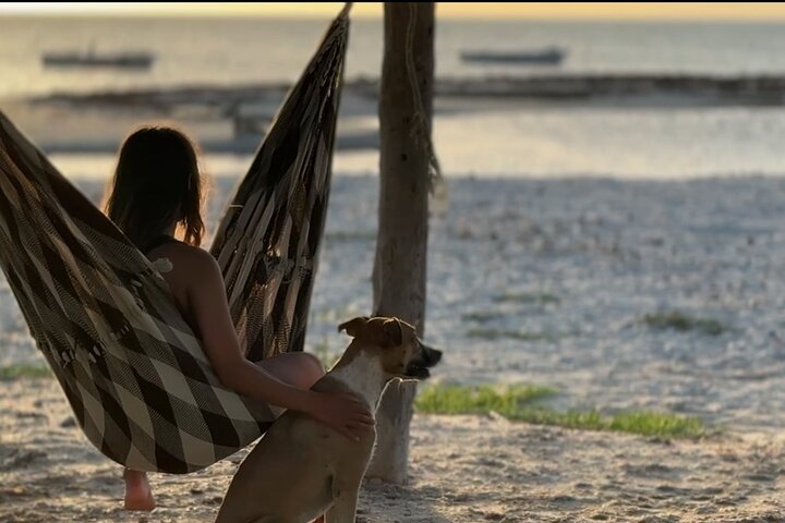 Volunteering with Animals and Communities in Guajira