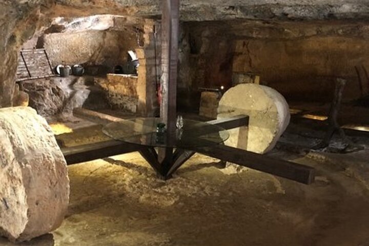 Puglia Olive Oil Tasting Experience with Olive Grove Walk
