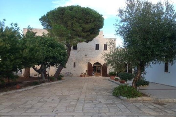 Puglia Olive Oil Tasting Experience with Olive Grove Walk