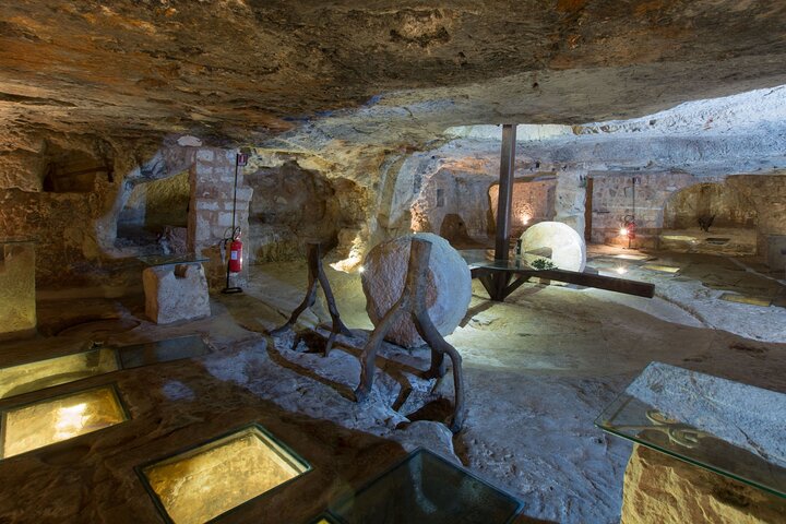 Puglia Olive Oil Tasting Experience with Olive Grove Walk