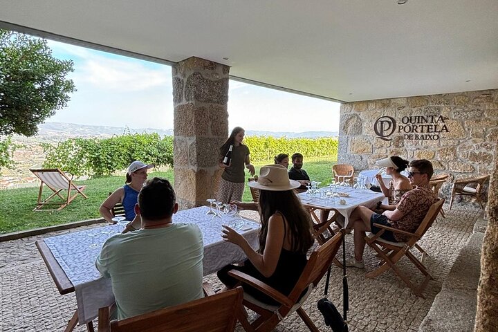 Best of the Douro in a Day: Boat, Wine and Family Lunch