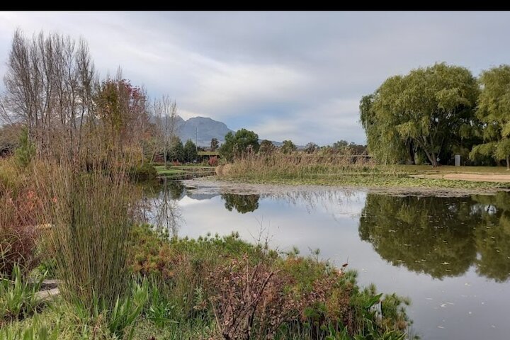 Stellenbosch, Franschhoek, Paarl 15 Wine Tasting Private Tour
