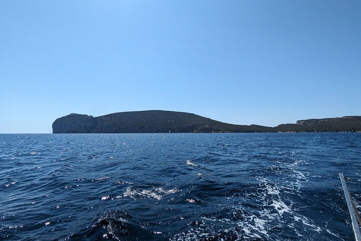 Sailing Experience to Capo Caccia from Alghero
