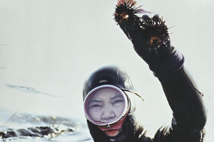 Private Full Day Tour World Natural Heritage & UNESCO in jeju