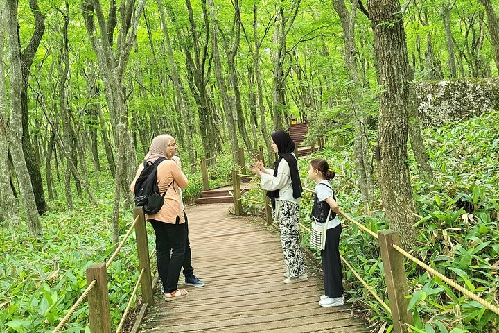 Private Full Day Tour World Natural Heritage & UNESCO in jeju