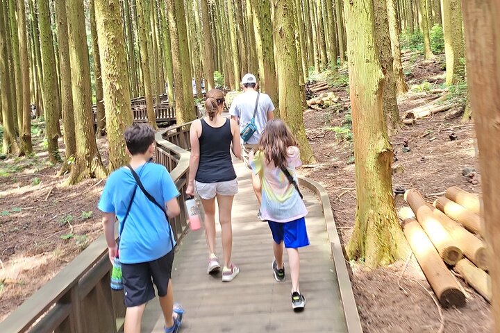 Private Full Day Tour World Natural Heritage & UNESCO in jeju