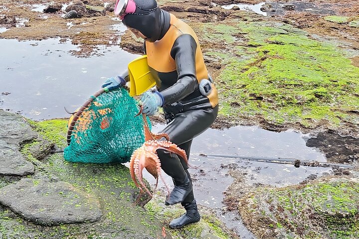 Private Full Day Tour World Natural Heritage & UNESCO in jeju