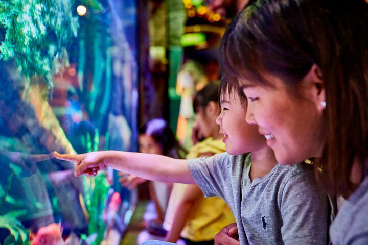 SEA LIFE New Jersey Admission Tickets at American Dream