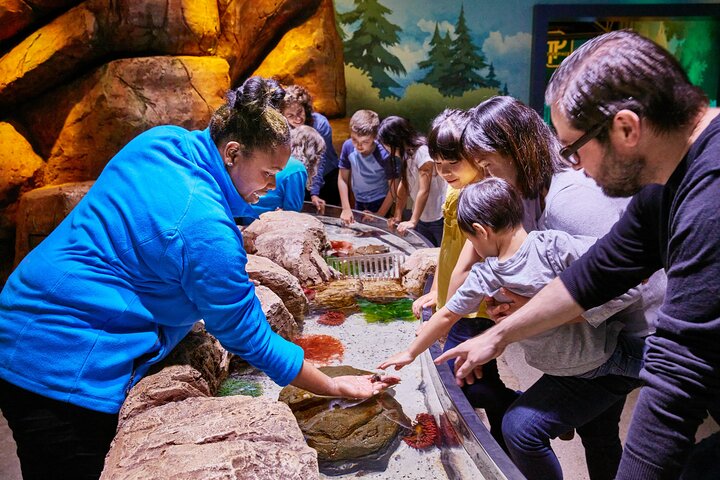 SEA LIFE New Jersey Admission Tickets at American Dream