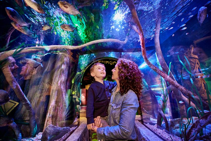 SEA LIFE New Jersey Admission Tickets at American Dream