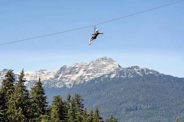 Zipline Adventure in Whistler