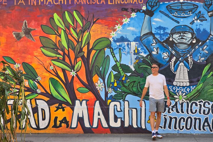 6 Hour Tour of Culture, History and Flavors from Santiago