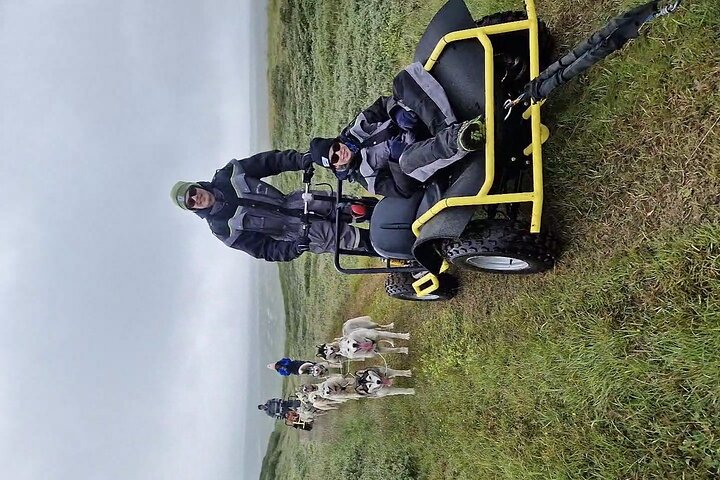 Dog Sledding and Mushing Experience by Siberian Husky in Iceland