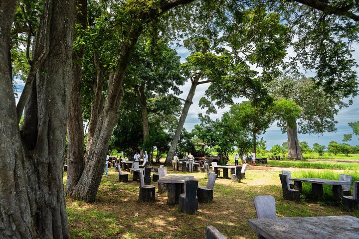 From Zanzibar: Mikumi Safari Day Trip with Flights and Meal
