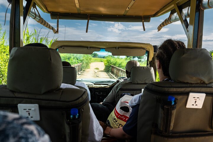 From Zanzibar: Mikumi Safari Day Trip with Flights and Meal