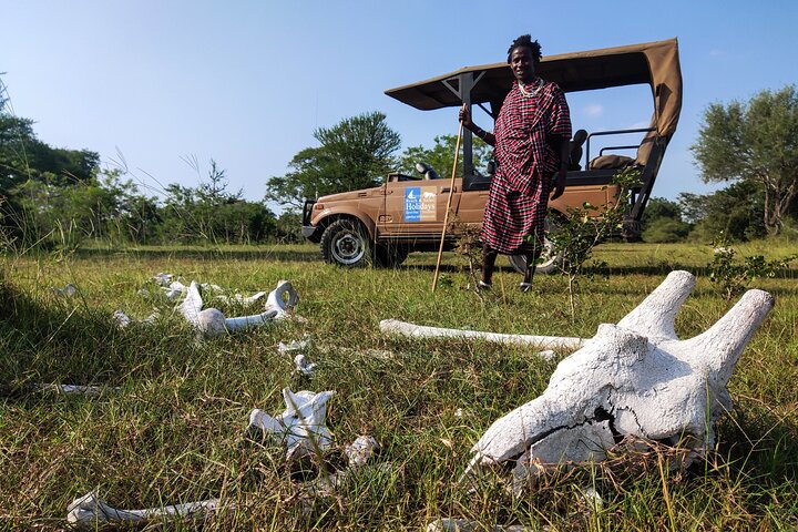 From Zanzibar: Selous Game Reserve Day Safari with Flights