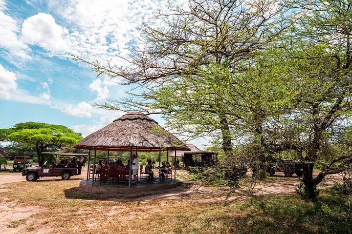 From Zanzibar: Selous Game Reserve Day Safari with Flights