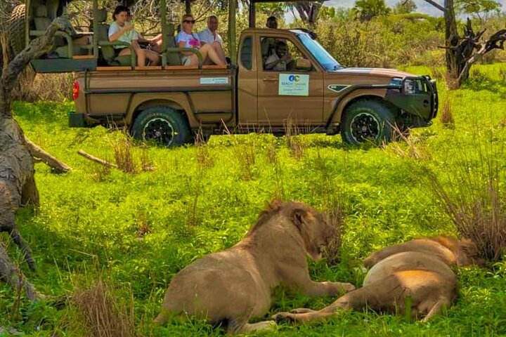 From Zanzibar: Selous Game Reserve Day Safari with Flights