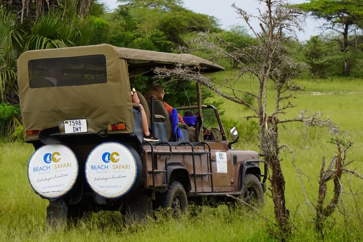 From Zanzibar: Selous Game Reserve Day Safari with Flights