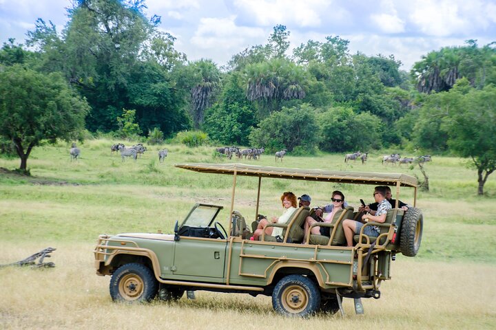 The best Selous 1 day safari from Zanzibar