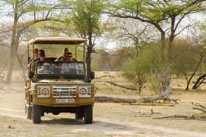The best Selous 1 day safari from Zanzibar
