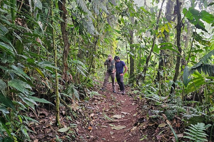 Mindo Cloud Forest Birdwatching & Photography - Private Day Tour