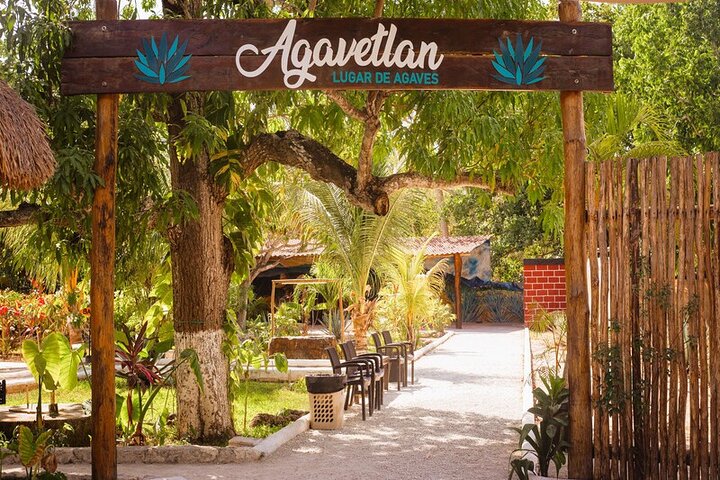 ATV 4×4+Snorkeling+Beach Club+ Lunch+Sabores de Cozumel