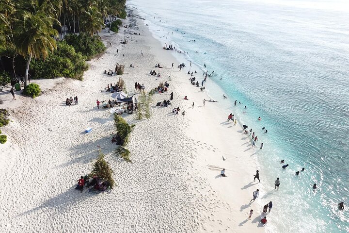 Tiger Shark Diving in Fuvahmulah:8 Days, 7 Nights 15 dives offer