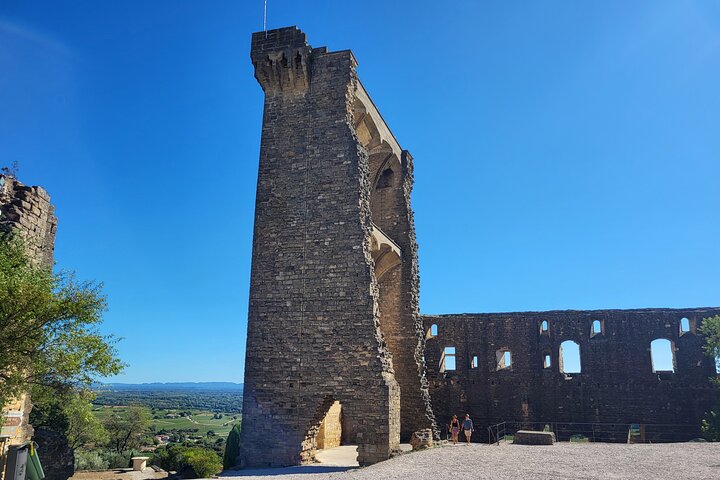 Wine Tasting Tour at Châteauneuf du Pape