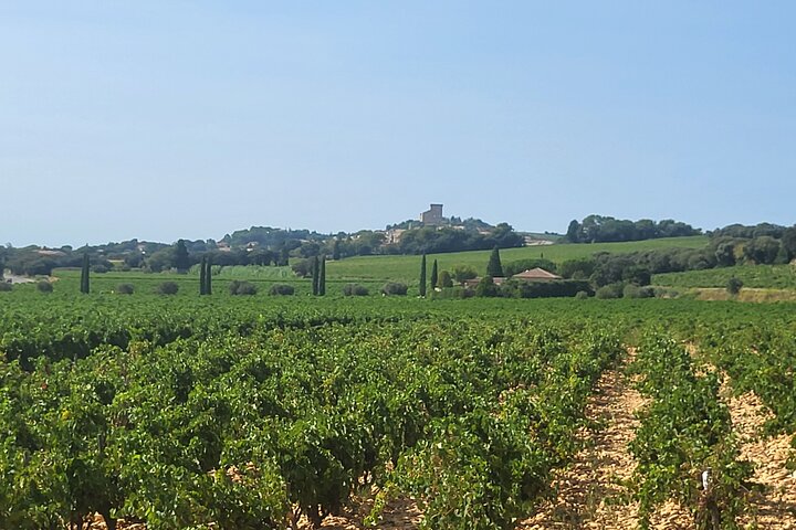 Wine Tasting Tour at Châteauneuf du Pape