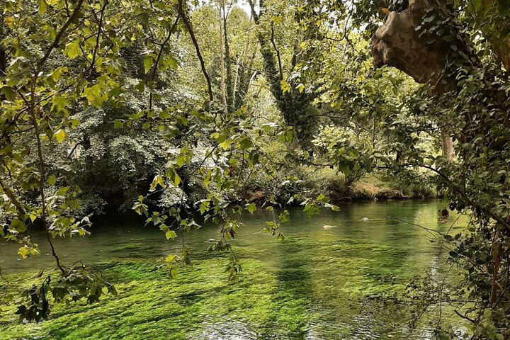 Highlights of Provence in One Day
