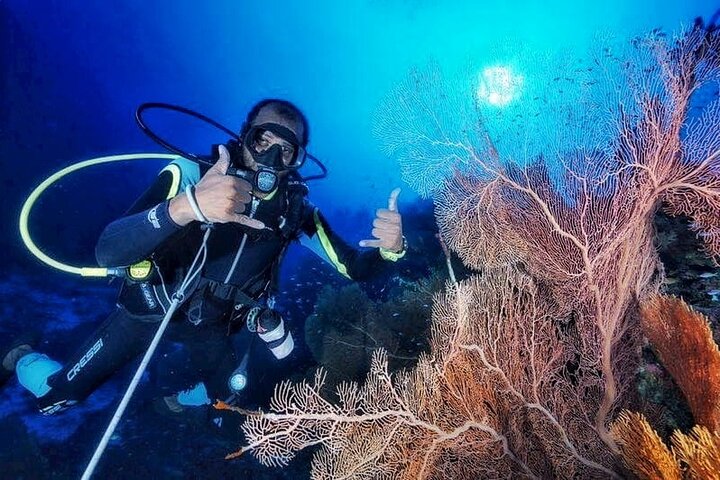 Tiger Shark Diving in Fuvahmulah:8 Days, 7 Nights 15 dives offer
