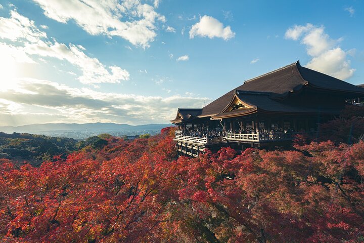 Full Day Tour of Kyoto with Private Transportation