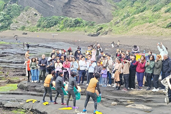 Private Day tour East & south & west of All area in jeju island