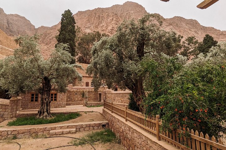 Full-Day Hike Tour at St. Catherine's Monastery