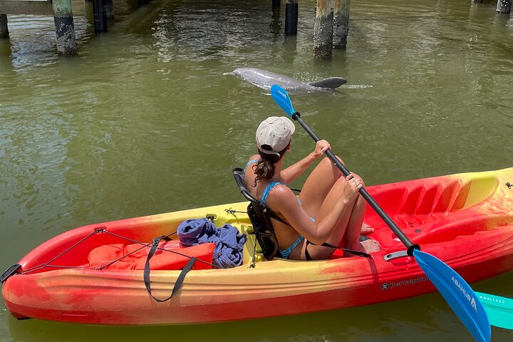 Bonita Springs Eco Kayak Tour – Best Gear, Premium&Clear Kayaks