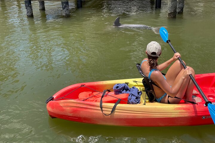 Bonita Springs Eco Kayak Tour – Best Gear, Premium&Clear Kayaks