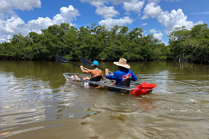 Bonita Springs Eco Kayak Tour – Best Gear, Premium&Clear Kayaks