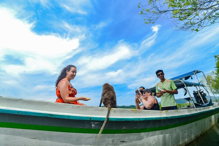 Koh Lanta Mangrove and Monkey Point Longtail Boat Tour