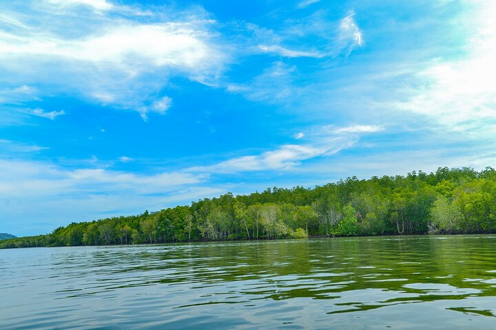 Koh Lanta Mangrove and Monkey Point Longtail Boat Tour