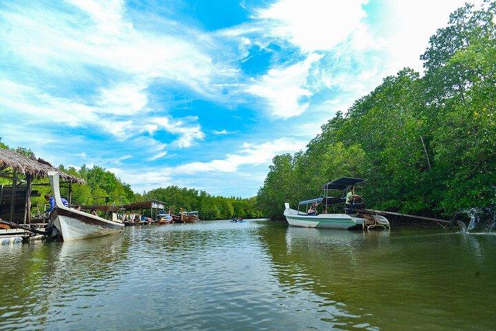 Koh Lanta Mangrove and Monkey Point Longtail Boat Tour