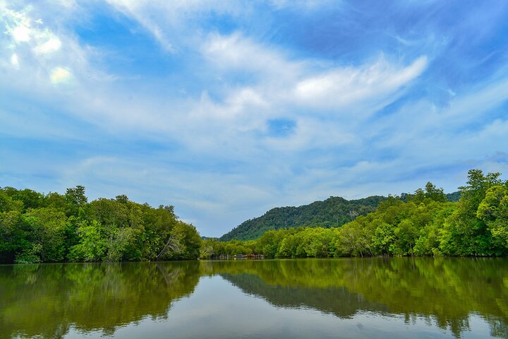 Koh Lanta Mangrove and Monkey Point Longtail Boat Tour