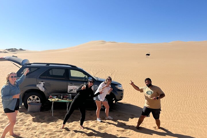 Marine Dune Day: Catamaran Cruise and Sandwich Harbor Dune Drive