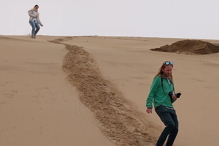 Marine Dune Day: Catamaran Cruise and Sandwich Harbor Dune Drive