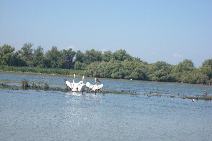 **Danube Delta Trips on the Camely Boat: Departing from Tulcea**